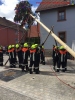 Maibaum aufstellen, Waldbrunn, 01.05.2018